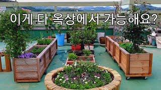 옥상 정원 아름답게 가꾸기