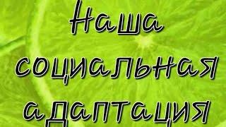 Адаптация в Польше. Наше окружение в Польше. С кем мы дружим и общаемся. Социальная адаптация.