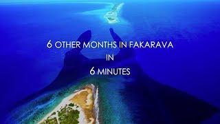 Back to Fakarava : 6 month Diving in 6 Minutes