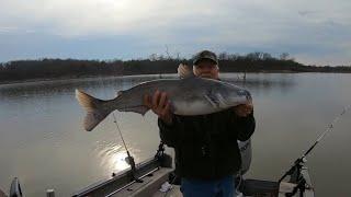 Catfishing Dec 28 2024