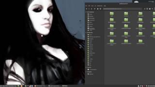 How to install sardi icons starting from Sourceforge