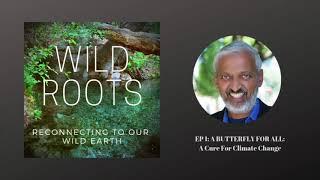 EP 1: A BUTTERFLY FOR ALL / Dr. Sailesh Rao