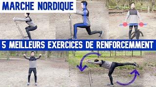 Marche Nordique : Exercices de Renforcement Musculaire (PPG)