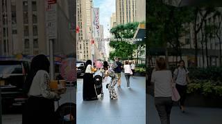 Spend the evening with me in Manhattan NYC  #shortsfeed  #newyork #nycvlog #newyorktimes