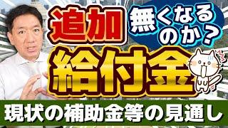 【追加給付金 無くなるのか？】給付金に関する最新情報/ 総合経済・物価高対策、政権の枠組みに左右か/ 自公国3党の部分連合/ その他補助金の見通し/ 厚労省支援/ 詐欺注意等〈R6年11/7 時点〉