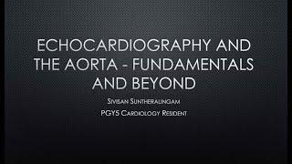 Echocardiography and the Aorta: Fundamentals and Beyond