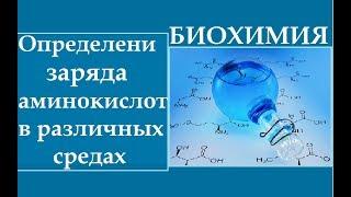 Биохимия. Определение заряда аминокислот и пептидов в различных средах.