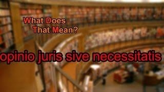 What does opinio juris sive necessitatis mean?