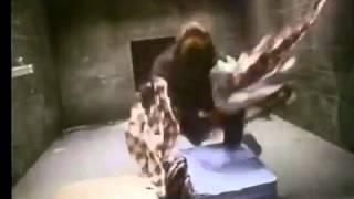 AMERICAN TOURISTER -  Gorilla vs Luggage Commerical 1980