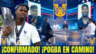 ¡INCREÍBLE! PROGRAMA FRANCÉS REVELA A POGBA EN TIGRES, ¡LO QUE VIENE AHORA!