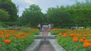 Free admission for Chicago Botanic Garden for healing in wake of massacre
