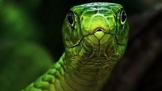 How To Hack LittleBigSnake Using GameGuardian