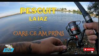 Am PESCUIT la IAZ PRIVAT cu nada PVPFISHING - Oare ce am PRINS ??? + BATALIA UNDITELOR !