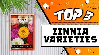 Best Zinnia Varieties edited