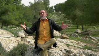 מילים כדורבנות   2. ציונות