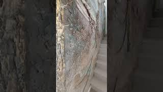 Барельеф в интерьере. Фактуры декоративных штукатурок.