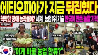 [해외감동사연] “에티오피아가 지금 뒤집혔다” 세계 농업 1위 한국, 아프리카 빈민마을을 천국으로 바꾸자 세계가 경악