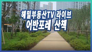 해밀부동산TV 라이브(어반포레 기습산책!)