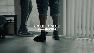 BIG SPARKK - GORILLA GLUE | SHOT BY TREVINCHY