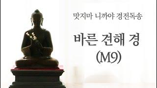 M9.바른 견해 경ㅣ맛지마 니까야 아홉 번째 경ㅣ제따와나선원 경전독송