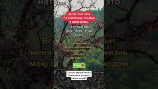 Записаться на обряды (без вреда) верну любимого/любимую, по ссылке в комментарии  #вернулюбимого