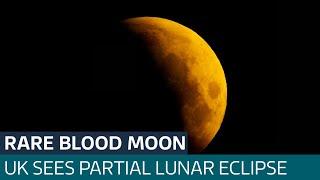 UK stargazers wake up to a rare 'blood moon' | ITV News