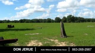 Lots And Land for sale - JOHNSON AVENUE E, HAINES CITY, FL 33844