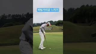 퍼팅거리감을 배워봅시다. #헤드무게로퍼팅하기 #진자운동퍼팅하기 #견고한그립잡기 #불필요한함빼기