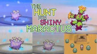 646 - The Hunt for Shiny Maractus! 4 LIVE Shiny Pokemon in Gen V (Black and White)