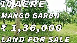 10 ACRE MANGO GARDEN FOR SALE | FINANCIAL NEED PROPERTY SALE | COST ₹ 1,36,000 | PROPERTY PROMOTION