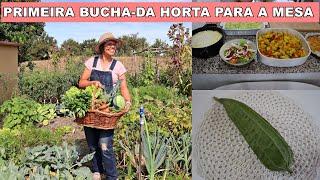 COMIDA DIRETO DA HORTA-DÚVIDAS SOBRE O OUTRO CANAL-#vidasimples#simpleliving#vidarural