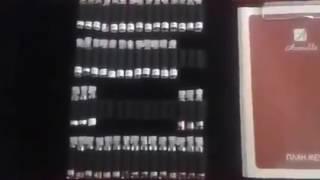 Моя папка с пробниками Armelle