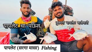 पापलेट मासेमारी | काशादेव खडकावर बोटीला भेटले पापलेट मांसाचा पाऊस | Pomfret Fishing | #vlog