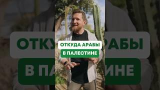 Арабы — не коренное население Палестины #история #арабы #евреи #израиль #палестина