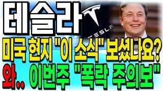 [테슬라 주가전망] 미국현지 "이 소식" 보셨나요? 와.. 이번주 "폭락 주의보" 조심하세요!! "이때" 까지는 버티면 폭등한다!!