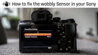 How to fix the Weird shake / Wobbling Sensor on your Sony A7II / A7III / A7RII / A7SII / A7RIII