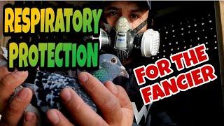 I MUST PROTECT MY LUNGS IF I WANT TO CONTINUE WITH PIGEON RACING|PIGEON RACING UK