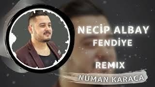 Necip Albay - Fendiye (Numan Karaca Remix)