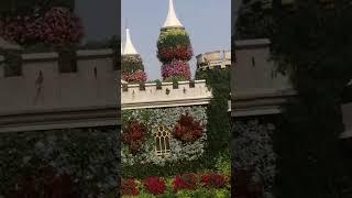 at miracle garden Dubai was the best place to chill and hang out with friends this Christmas 