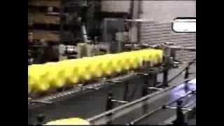 Walking Beam Conveyor by RoboShop Inc.