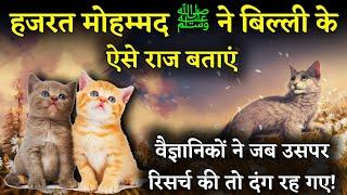 हज़रत मुहम्मद ﷺ कि बिल्ली का वाकिया || Cat In Islam || Story Of Prophets (PBUH) Cat ! Noore hadees