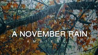 10 Hour   Autumn Rain Ambience in November for Sleep  | Relaxation | Meditation  Fall Abundance