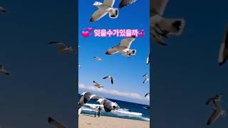 #나훈아 #잊을수가있을까