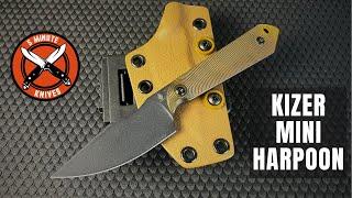 Kizer Mini Harpoon- Why so Popular??? 