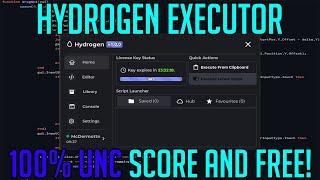 HYDROGEN ROBLOX EXPLOIT/EXECUTOR - HOW TO DOWNLOAD, INSTALL AND EXECUTE SCRIPTS ON YOUR PC 2024