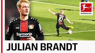 Julian Brandt - All Goals and Assists in 2018/19