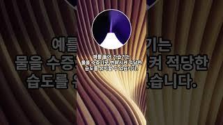 상전이 (Phase transition) | 40가지 발명원리 | 트리즈씽킹 #shorts