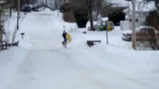 Hilarious Sled Dog Accident