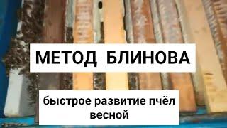 Метод Блинова. Быстрое развитие пчелиных семей весной. Весенние работы на пасеке.