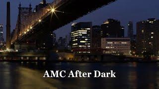 AMC AFTER DARK: Behind the Scenes with the Schwarzman Animal Medical Center’s Night Shift Team